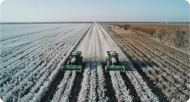 maquinaria cosechando